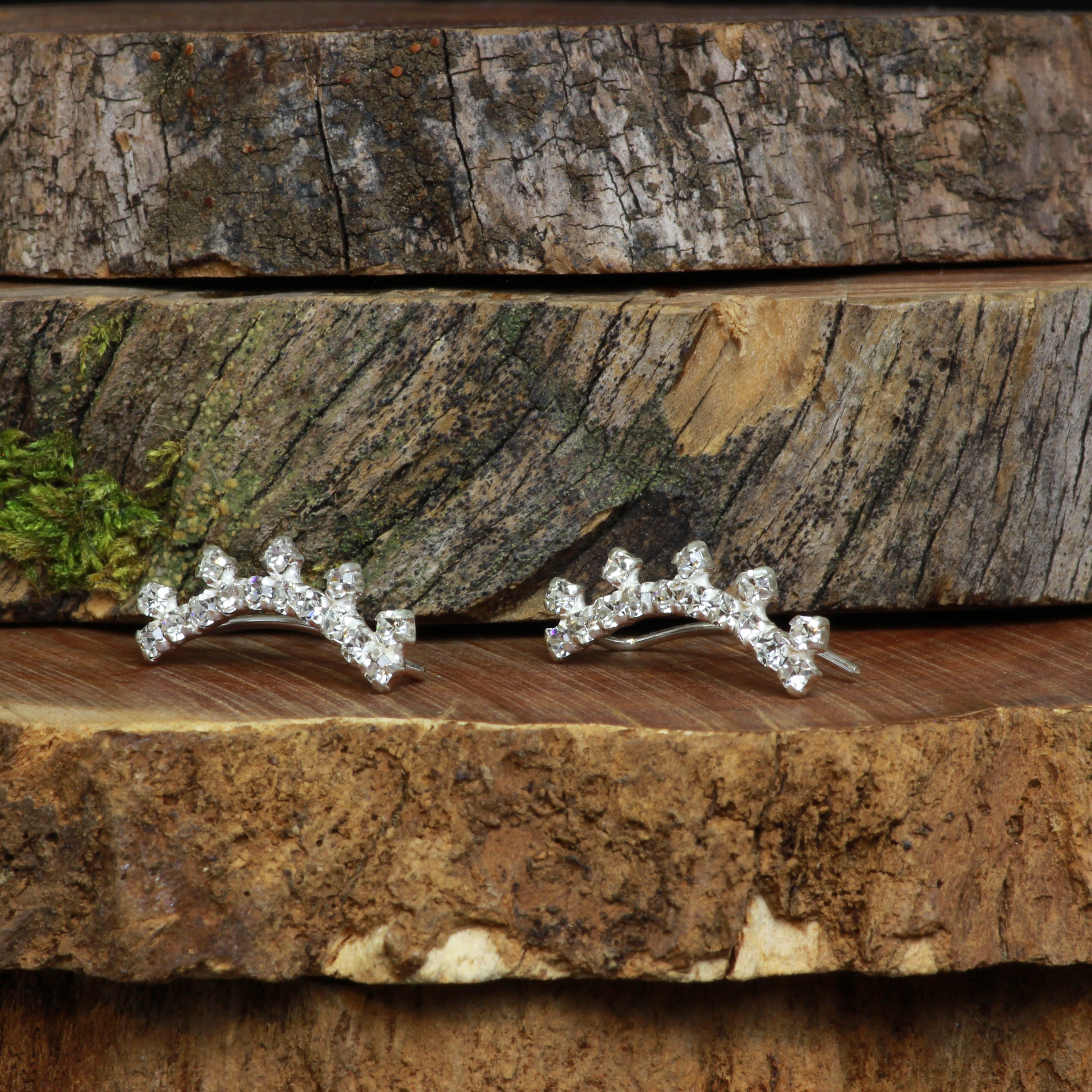 Aro trepador circones brillantes Ana